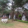 Ảnh người dùng đánh giá TTC Resort – Đồi Mộng Mơ