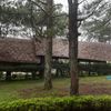 Ảnh người dùng đánh giá TTC Resort – Đồi Mộng Mơ