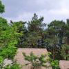 Ảnh người dùng đánh giá Chillout Village Homestay Tam Đảo Ảnh người dùng đánh giá Chillout Village Homestay Tam Đảo