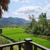 รูปภาพผู้ใช้รูปภาพ Mai Châu Ecolodge