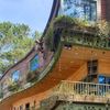 Ảnh người dùng đánh giá Khách Sạn Rosie Garden Măng Đen Ảnh người dùng đánh giá Khách Sạn Rosie Garden Măng Đen