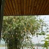 Ảnh người dùng đánh giá An Vui Lodge & Cottage Ảnh người dùng đánh giá An Vui Lodge & Cottage