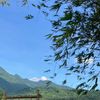 Ảnh người dùng đánh giá An Vui Lodge & Cottage Ảnh người dùng đánh giá An Vui Lodge & Cottage