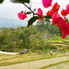 Ảnh người dùng đánh giá Pù Luông BamBoo Homestay