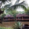 Image de l'avis de l'utilisateur pour Chez Carole Beach Resort Phu Quoc Image de l'avis de l'utilisateur pour Chez Carole Beach Resort Phu Quoc