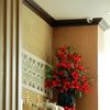 Ảnh người dùng đánh giá Khách Sạn Blue Wave Cửa Lò Ảnh người dùng đánh giá Khách Sạn Blue Wave Cửa Lò