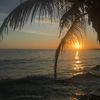 Ảnh người dùng đánh giá Pacific Beach Resort Ảnh người dùng đánh giá Pacific Beach Resort