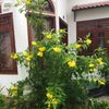 Ảnh người dùng đánh giá Wings Bungalow
