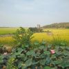 Ảnh người dùng đánh giá The Ruộng Resort Ảnh người dùng đánh giá The Ruộng Resort