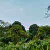 Ảnh người dùng đánh giá Amour Resort Bavi Ảnh người dùng đánh giá Amour Resort Bavi