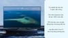 Ảnh Smart Tivi QLED 4K 55 inch Samsung QA55Q65A 0