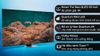 Ảnh Smart Tivi Neo QLED 4K 55 inch Samsung QA55QN85B 0