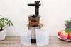 Ảnh Máy ép chậm Kangaroo KG150SJ 0