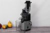 Ảnh Máy ép chậm Hommy GS-135L 0