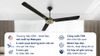 Ảnh Quạt trần KDK 3 cánh N56YG(BB) 75W 0