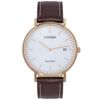 Ảnh Đồng hồ CITIZEN 40 mm Nam AU1083-13A 0