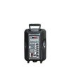 Ảnh Loa điện di động Mitsunal T801 (kèm 2 mic) 250W Bass 20cm 8'' 0