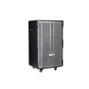 Ảnh Loa điện Acnos CBX150G (kèm 2 mic) 450W Bass 40cm 15'' 0