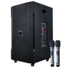 Ảnh Loa điện Arirang MK3 (kèm 2 mic) 700W Bass 40cm 15'' 0