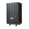 Ảnh Loa kéo Acnos 600W Bass30 CB303G (2 mic) 0