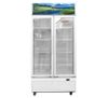 Ảnh Tủ mát Sanaky 900L VH-1009HP 0