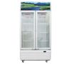 Ảnh Tủ mát Sanaky 700L VH-8009HP 0