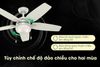 Ảnh Quạt Trần Luxuryfan Hunter Arcot 50647 0