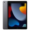 Ảnh Apple iPad Gen 9 10.2" WiFi 64G Gray 0