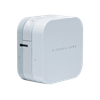 Ảnh Máy in nhãn Brother Cube PT-P300BT(In Bluetooth, Tze 12mm, pin AAA) 0
