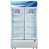 Ảnh Tủ Mát Alaska 1000 Lít LC-1000C 0