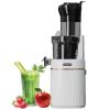 Ảnh Máy Ép Chậm Simplehome SJ-022 0