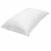 Ảnh Ruột Gối Ép Hơi 50x70 CM 0