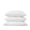 Ảnh Gối Nằm 40*60(B-40GKT60)(RUỘT+ÁO)600GRAM 0
