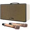 Ảnh Loa Karaoke Di Động Xách Tay Paramax Aura (Cream Leather) 0