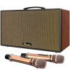 Ảnh Loa Karaoke Di Động Xách Tay Paramax Aura (Brown Leather) 0