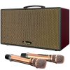 Ảnh Loa Karaoke Di Động Xách Tay Paramax Aura (Burgundy Leather) 0