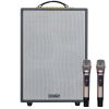 Ảnh Loa Karaoke Di Động Xách Tay ACNOS SONCAMEDIA ePOP 100 0