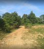 Ảnh người dùng đánh giá Ong Lang Village Resort
