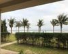 Ảnh người dùng đánh giá Sea Star Resort Ảnh người dùng đánh giá Sea Star Resort