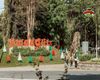 รูปภาพผู้ใช้รูปภาพ Khu nghỉ dưỡng Madagui Forest City รูปภาพผู้ใช้รูปภาพ Khu nghỉ dưỡng Madagui Forest City