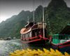 Ảnh người dùng đánh giá Du thuyền Perla Dawn Sails (Perla Dawn Sails) Ảnh người dùng đánh giá Du thuyền Perla Dawn Sails (Perla Dawn Sails)