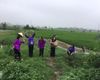 Ảnh người dùng đánh giá Khách sạn Lotus Ninh Bình Ảnh người dùng đánh giá Khách sạn Lotus Ninh Bình