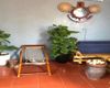 Ảnh người dùng đánh giá Mai's homestay Ảnh người dùng đánh giá Mai's homestay