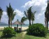Image de l'avis de l'utilisateur pour Tân Sơn Nhất Côn Đảo Resort Image de l'avis de l'utilisateur pour Tân Sơn Nhất Côn Đảo Resort