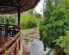 用户评价的照片Alba Wellness Resort Huế 用户评价的照片Alba Wellness Resort Huế