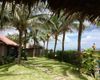 Ảnh người dùng đánh giá Green Organic Villas Ảnh người dùng đánh giá Green Organic Villas