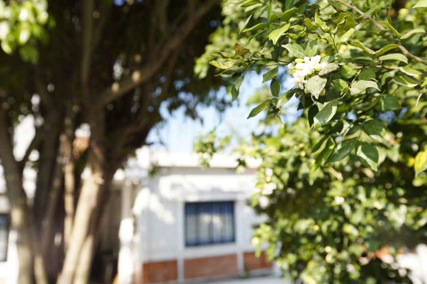 Ảnh Nhà Nghỉ Hoa Viên Bến Tre (Hoa Vien Ben Tre Guesthouse) Ảnh Nhà Nghỉ Hoa Viên Bến Tre (Hoa Vien Ben Tre Guesthouse)