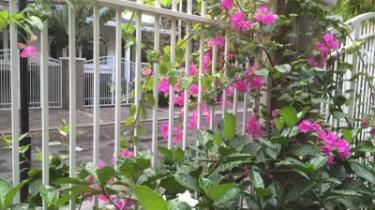 Ảnh Tiffany Hotel Residence Ảnh Tiffany Hotel Residence