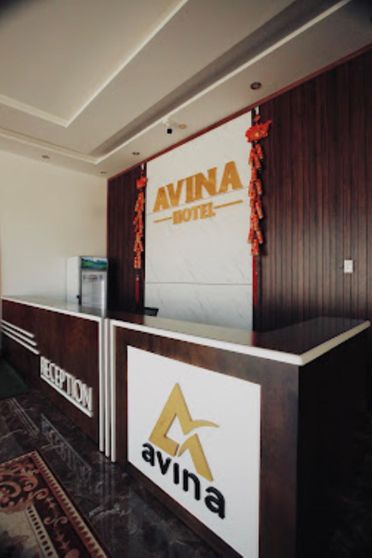 Ảnh AVINA Hotel