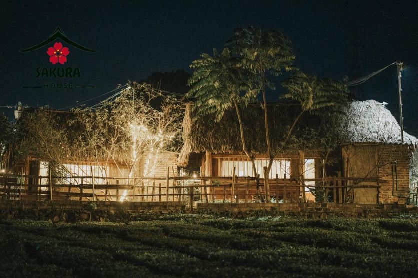 Ảnh Sakura House Vườn Đào